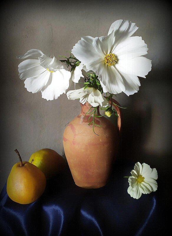 Вторая половина октября...космея отцветает....груши зреют... - TAMARA КАДАНОВА