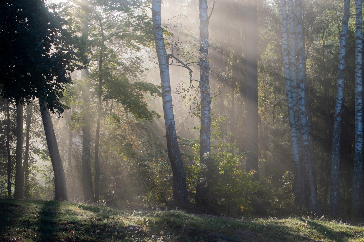 В осеннем свете............... - Юрий Цыплятников