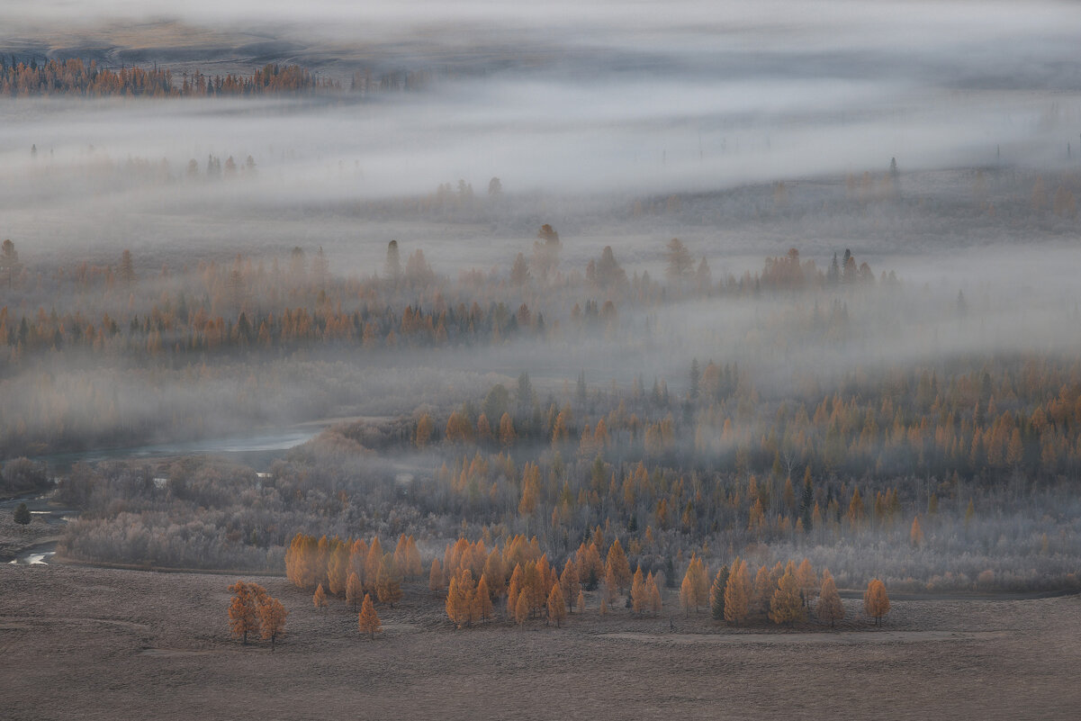 Утро туманное - Sergey38 