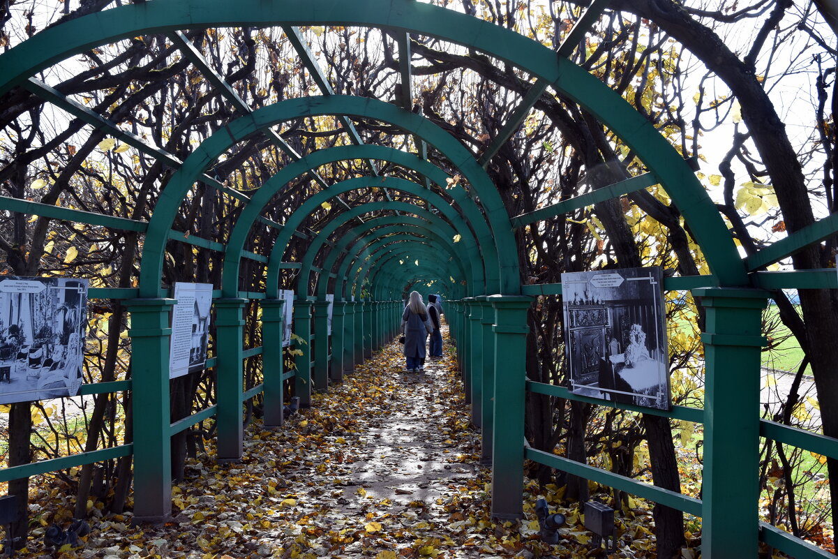 Усадьба. Осень. - tatiana 