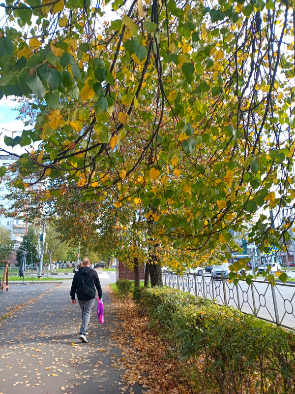 Середина осени - Татьяна Львова