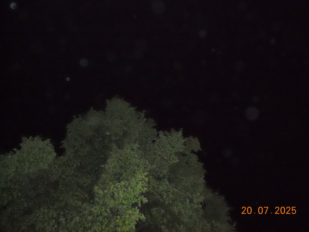 liminal - fogmeadowww m