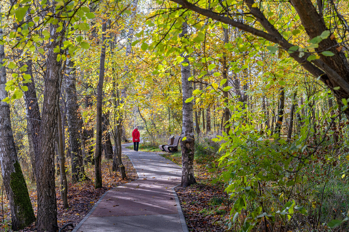 Наедине с осенью - Александр Орлов