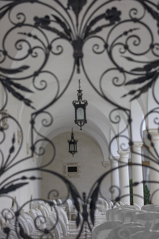 сквозь ажурную вязь решеток... - Елена Агеева