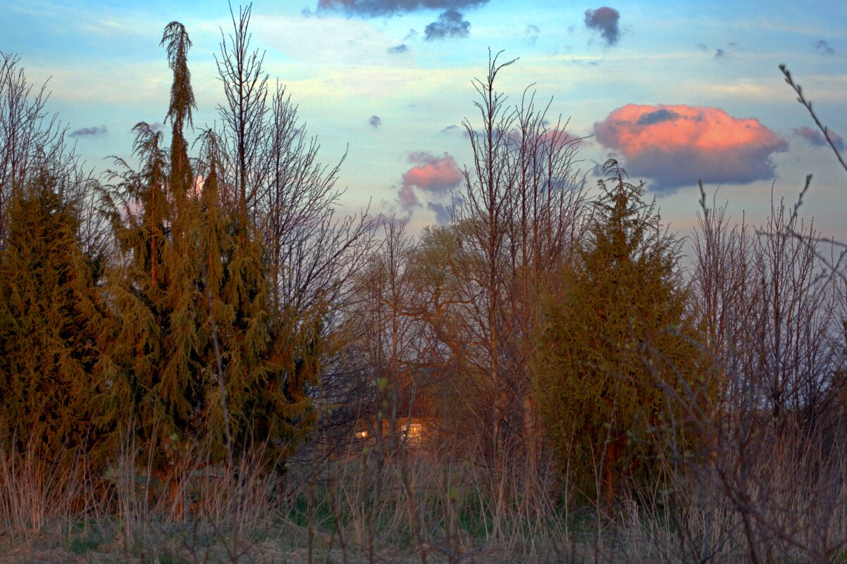Дом в Староселке - Артем 