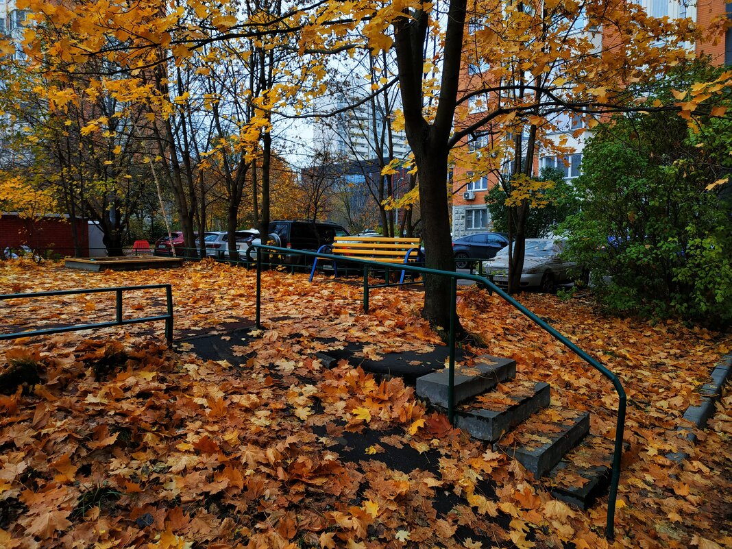 И поход в п-ку на перевязку на что-нибудь годится; тема с вариацией - Андрей Лукьянов