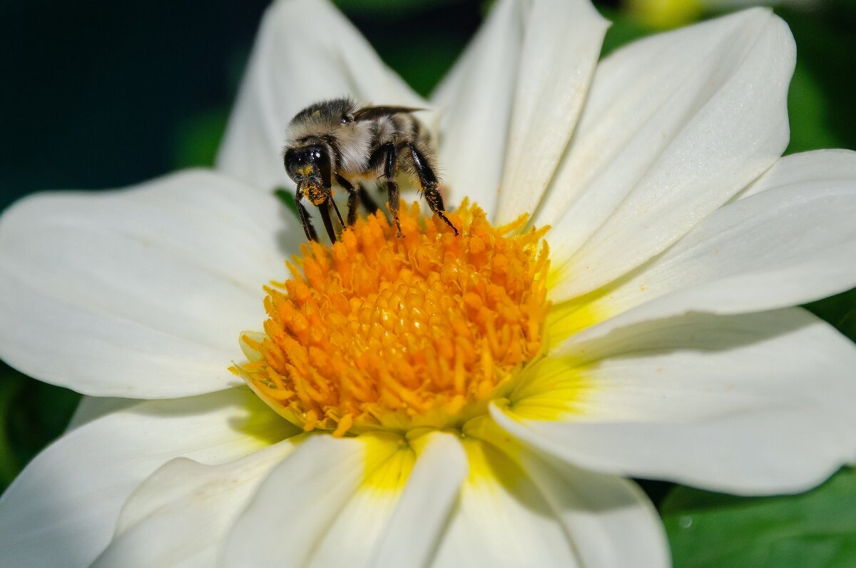Наслаждение - Виктор Иванович Чернюк