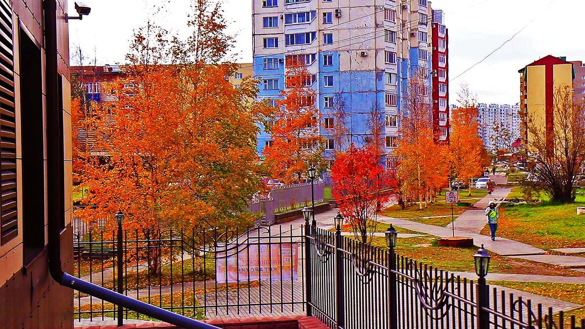 Уголок осеннего Нефтеюганска! - Владимир 