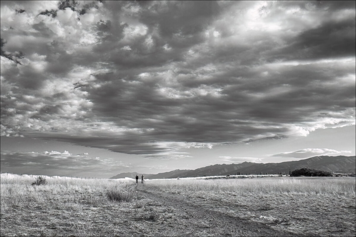 Под небом - **** vedin