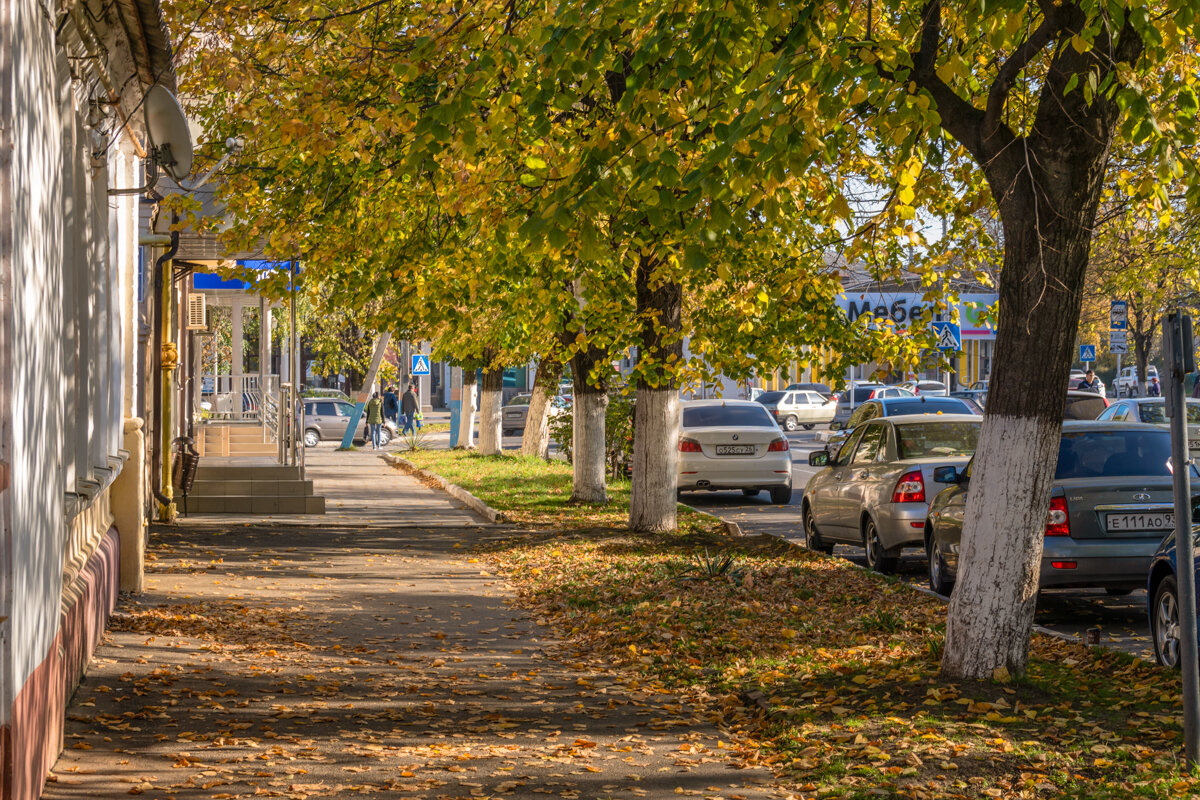 Армавир в сентябре - Игорь Сикорский