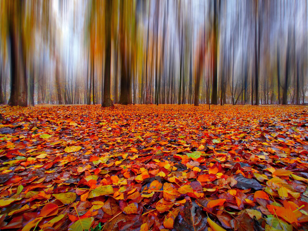 В воздухе тих и печален осени грустный мотив - Игорь 