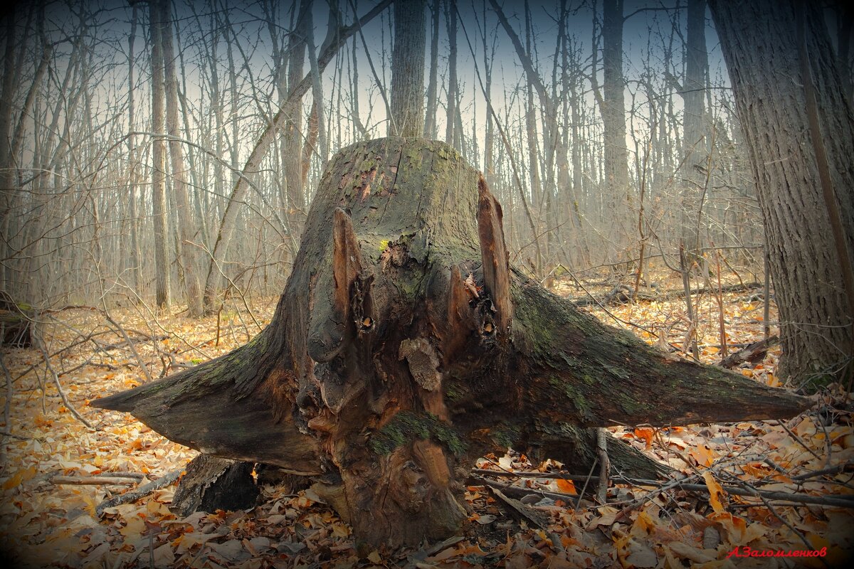 На Ерофея в лес не ходи - лесовик все кости переломает! :-) - Андрей Заломленков