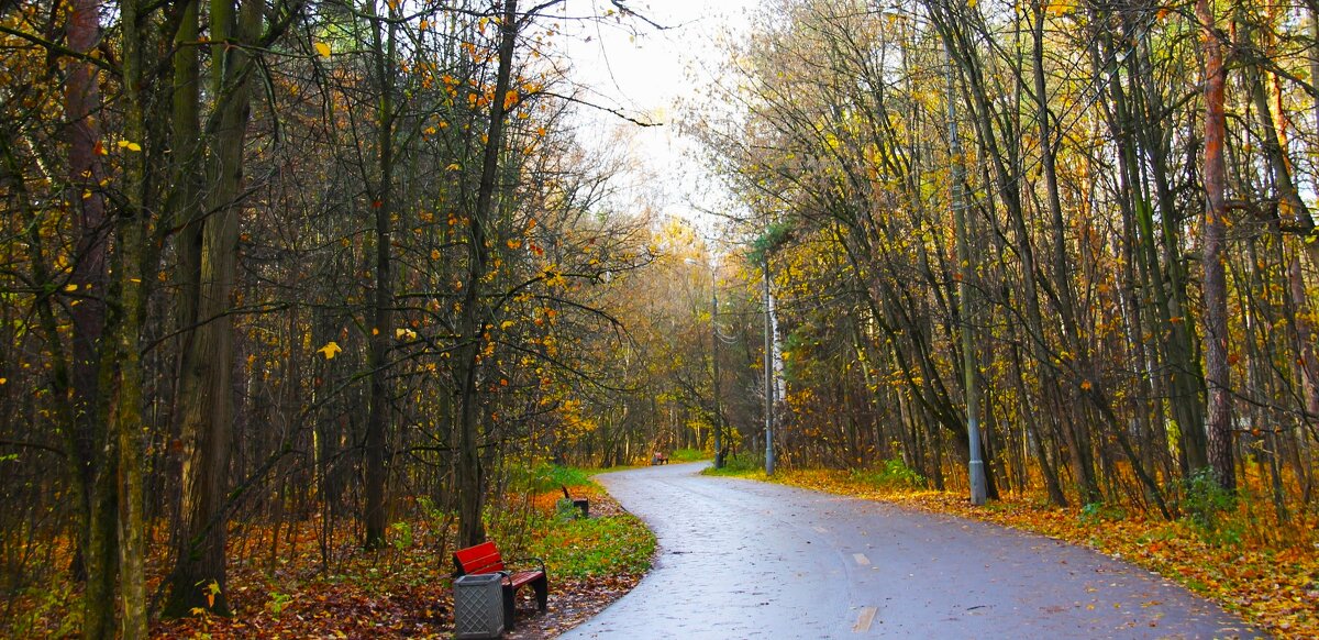 ОСЕННИЙ ДОЖДЛИВЫЙ ПАРК - Валентина 