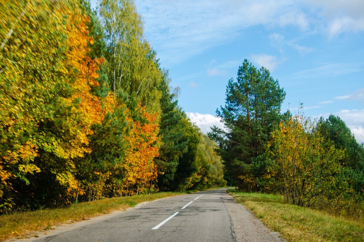 По дороге в осень - Галина Ложечникова