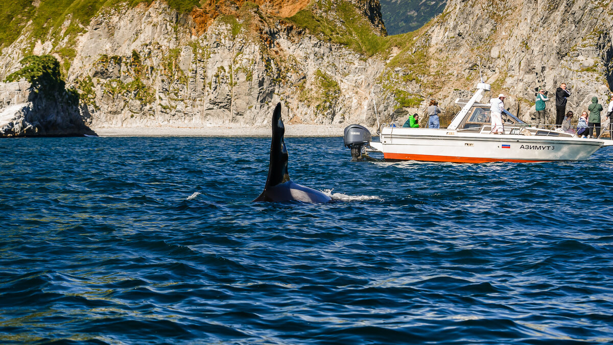 ... - Жора Житников ... - Жора Житников
