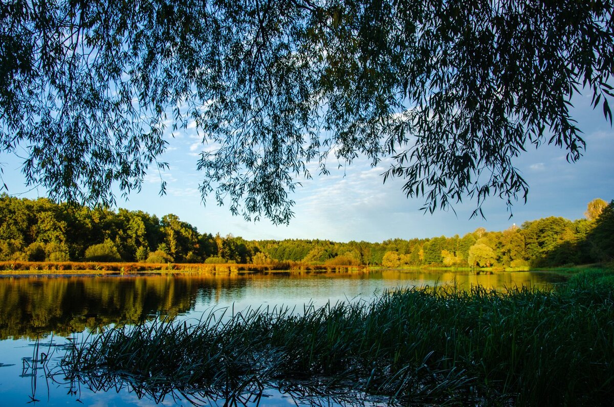 Пейзаж - Галина Ложечникова