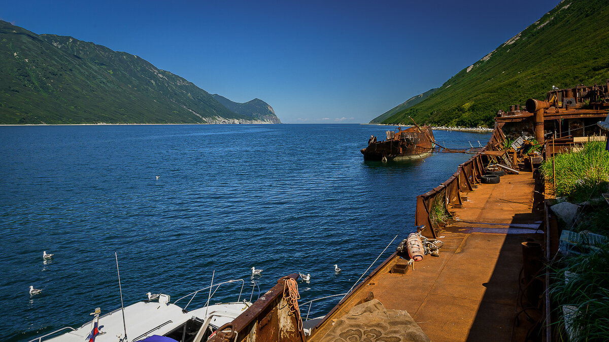 ... - Жора Житников