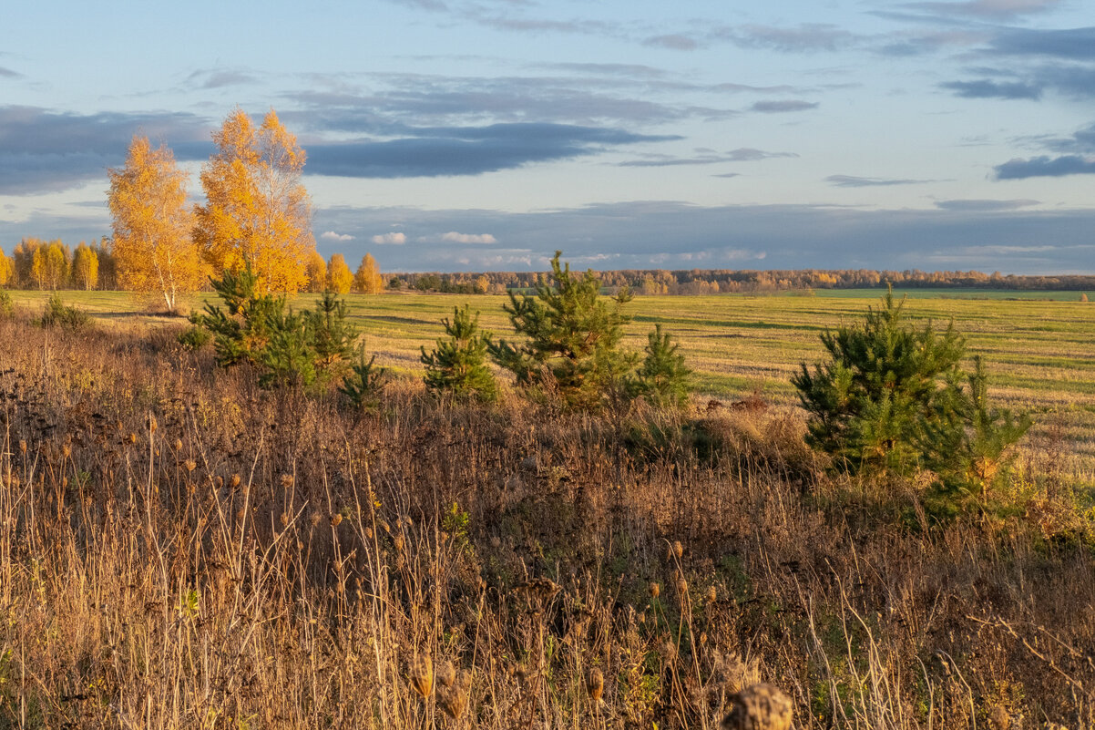 Осень - Александр 