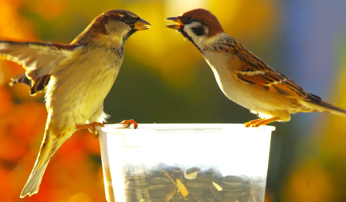 "Мы простые, ну и ладно"... - Юрий Куликов