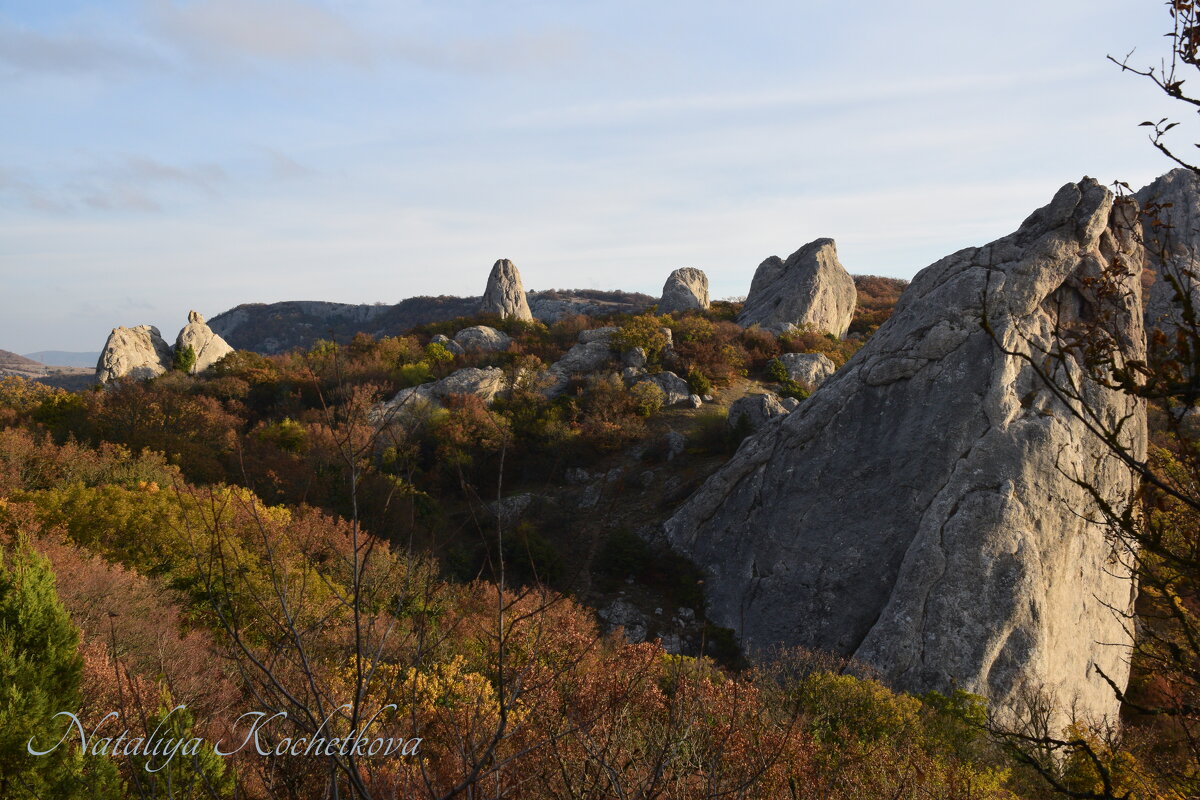 Природа Крыма - Amazing Cosmea