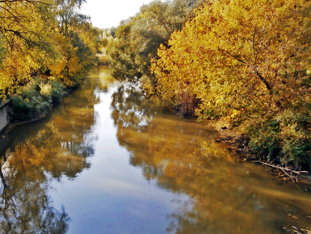 Осень на Яузе - Ольга Довженко
