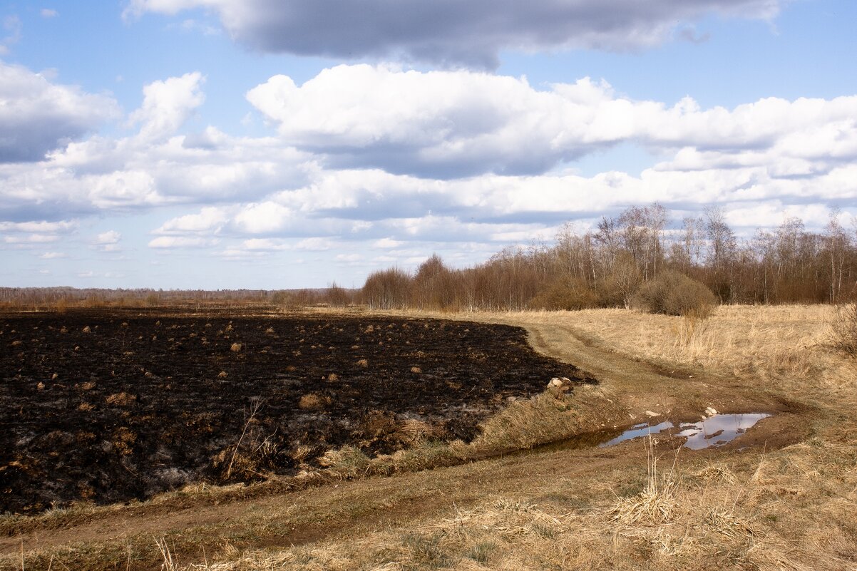 Аэродром гривочки - Артем 