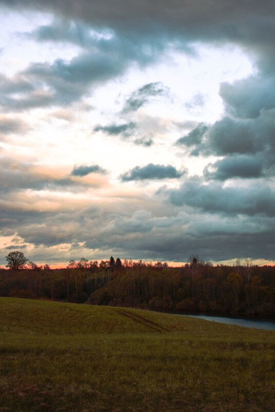 Лес за р.Полонкой - Артем 