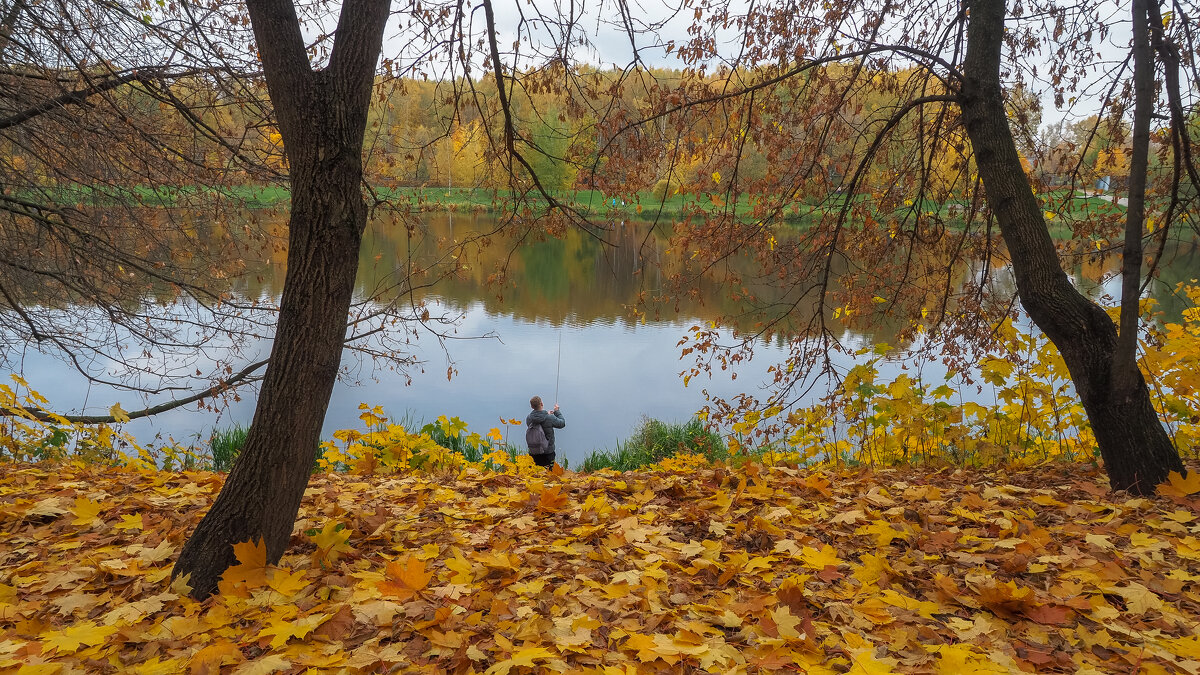 Осенний Сюжет - юрий поляков Осенний Сюжет - юрий поляков