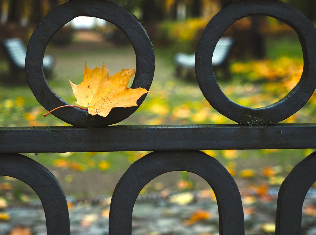 Приметы осени - Магомед .