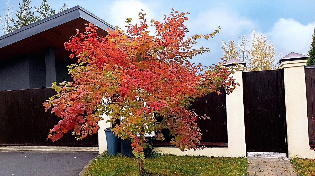 Осень - Татьяна Тюменка