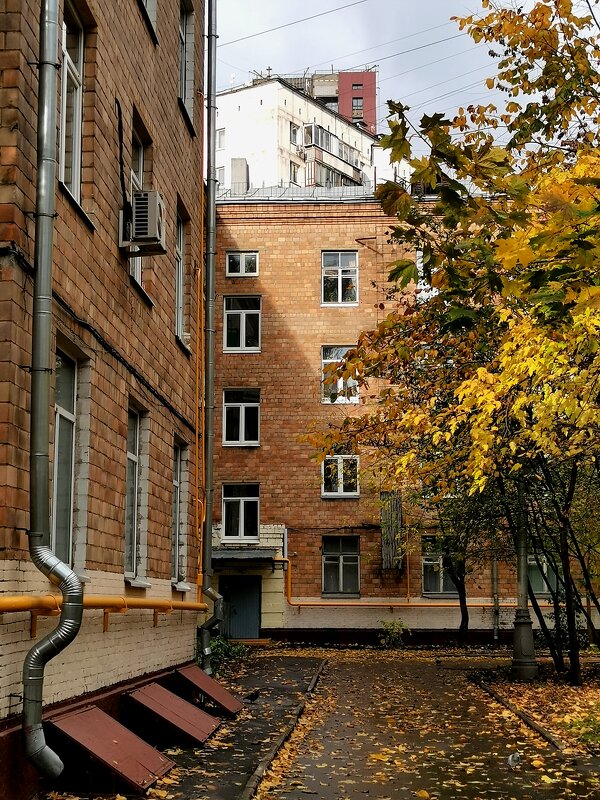 *** - Любимова Ольга 