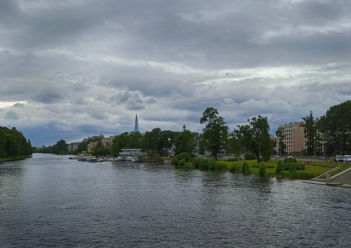 Пасмурный день в Питере. - Лилия *