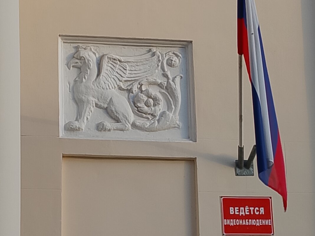 МАЦЕСТА - Tata Wolf МАЦЕСТА - Tata Wolf