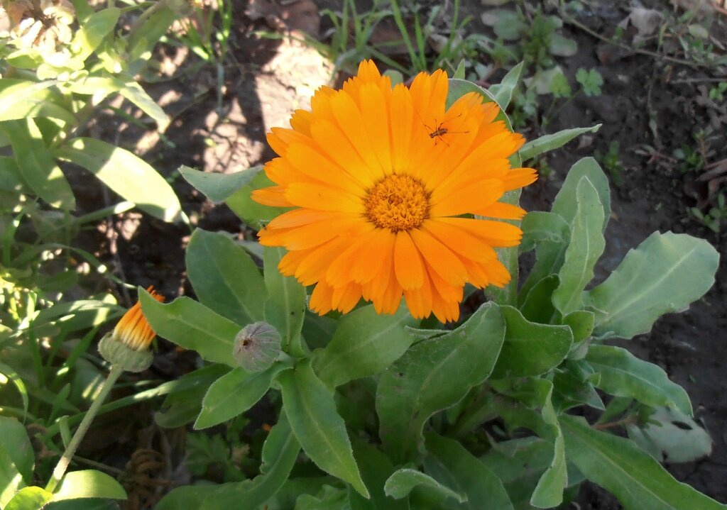 Весёлое приветствие :) - Наталья Весёлое приветствие :) - Наталья