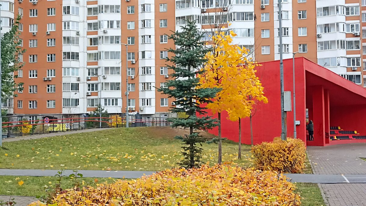 Школьный двор - Татьяна Тюменка