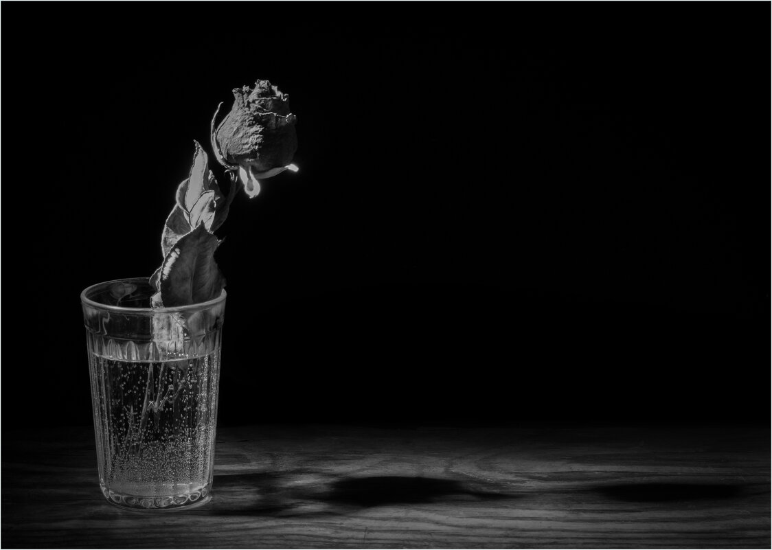 Роза в стакане... - Алексей Мезенцев