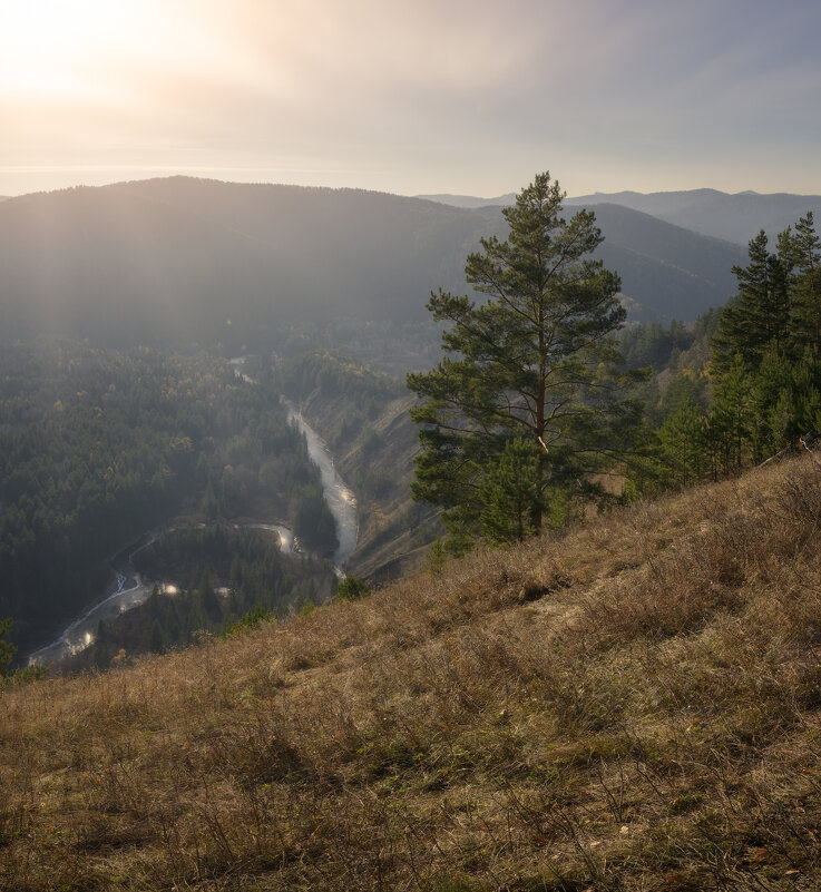 * - Александр Иванов