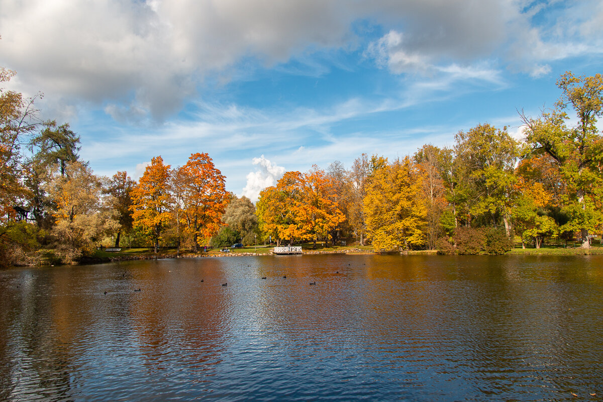 *** - Геннадий Порохов