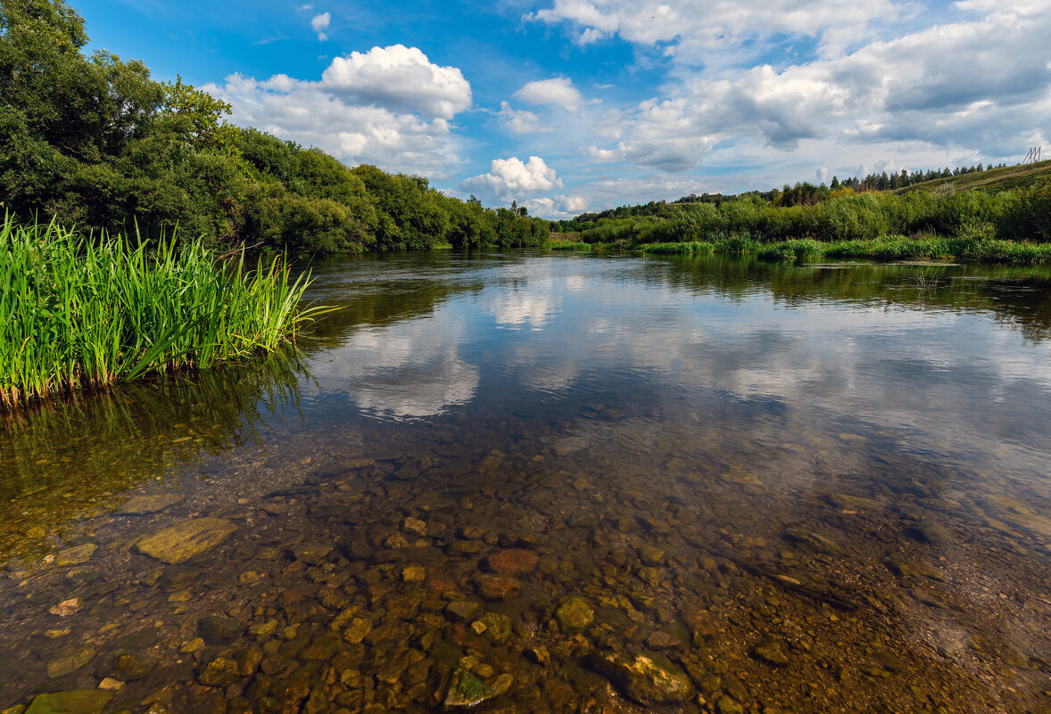 *** - Виталий Емельянов