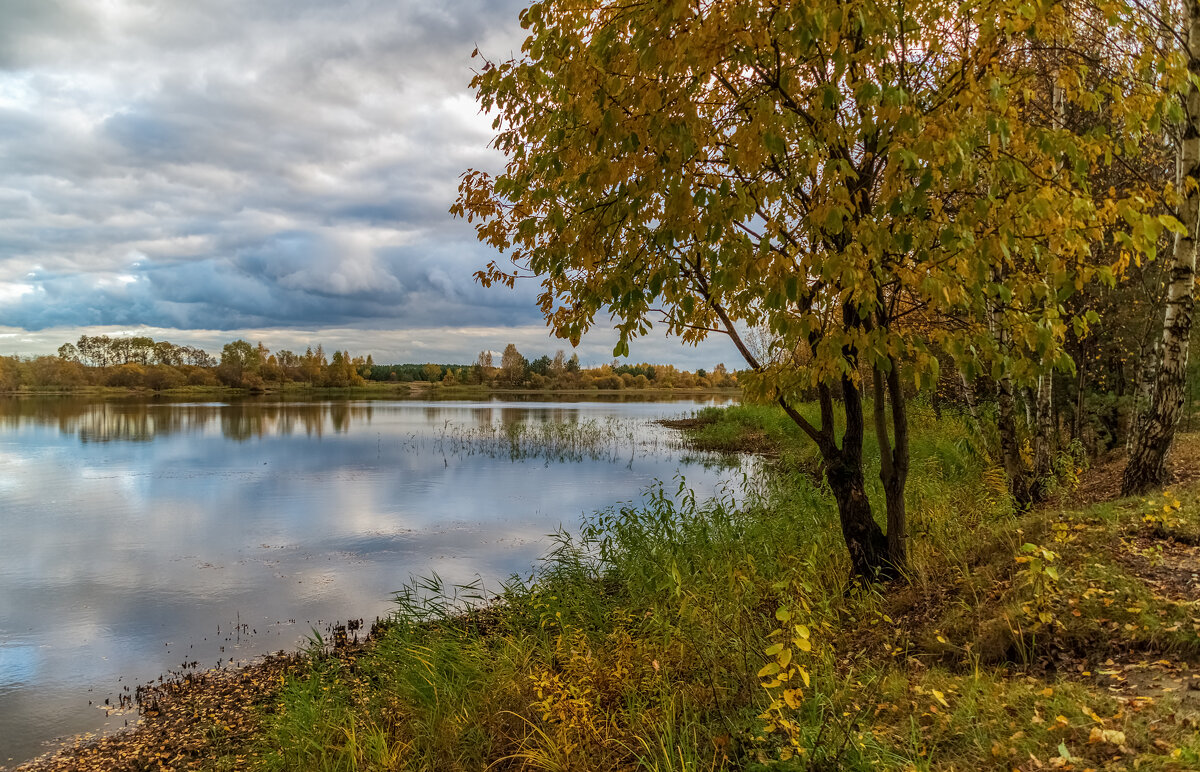 И снова Осень - Андрей Дворников