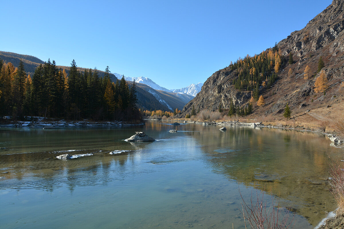 Чуя - Валерий Медведев