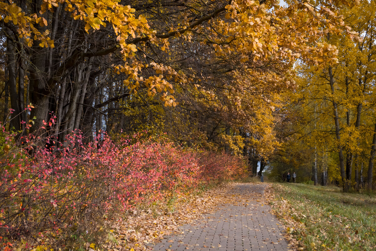 Парк Митино - Олег Дорошенко Парк Митино - Олег Дорошенко