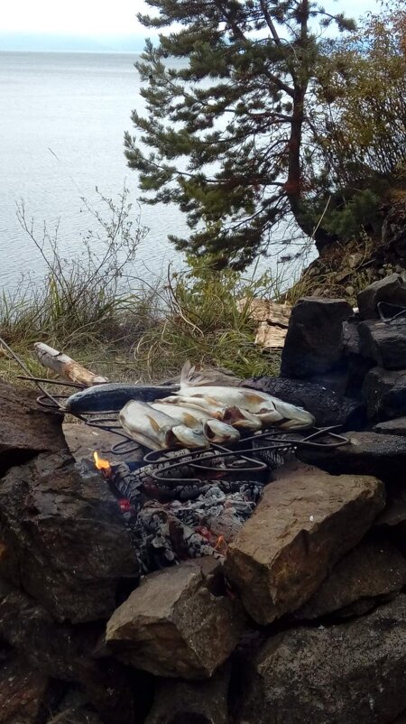 Барбекю из Хариуса на берегу Байкала - Игорь Железный