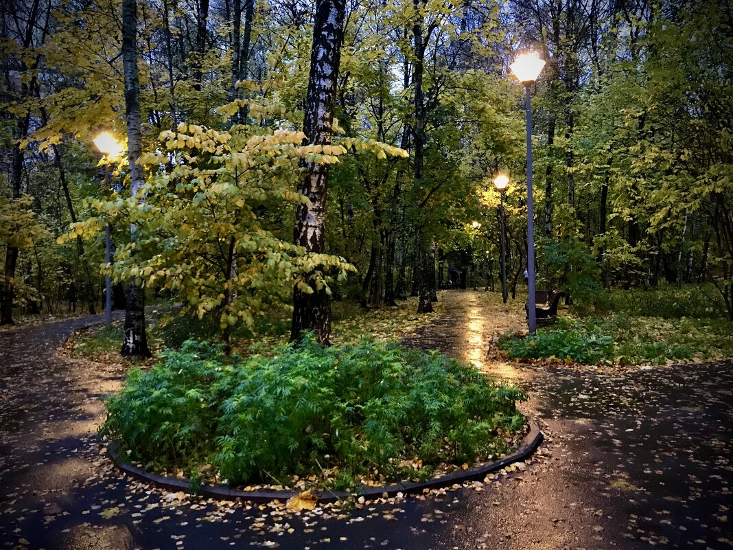 Вечерний парк. - Любовь Вечерний парк. - Любовь