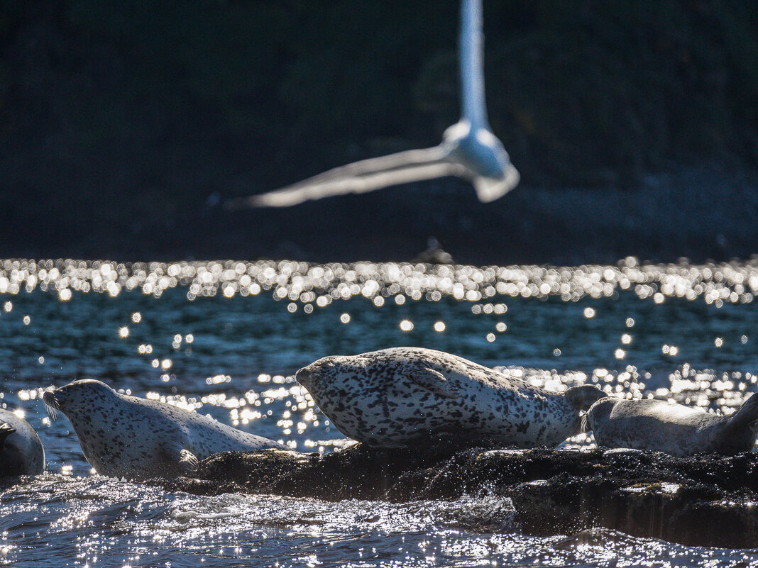 ... - Жора Житников