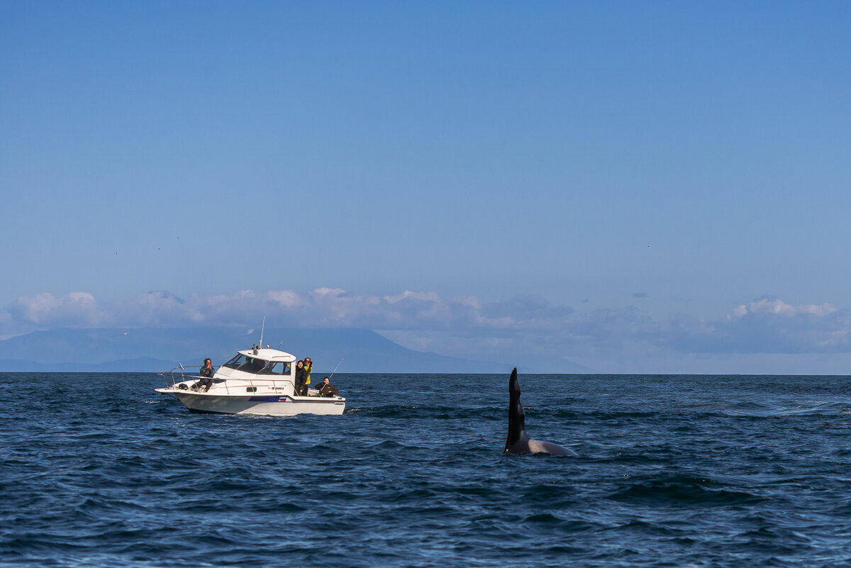 ... - Жора Житников