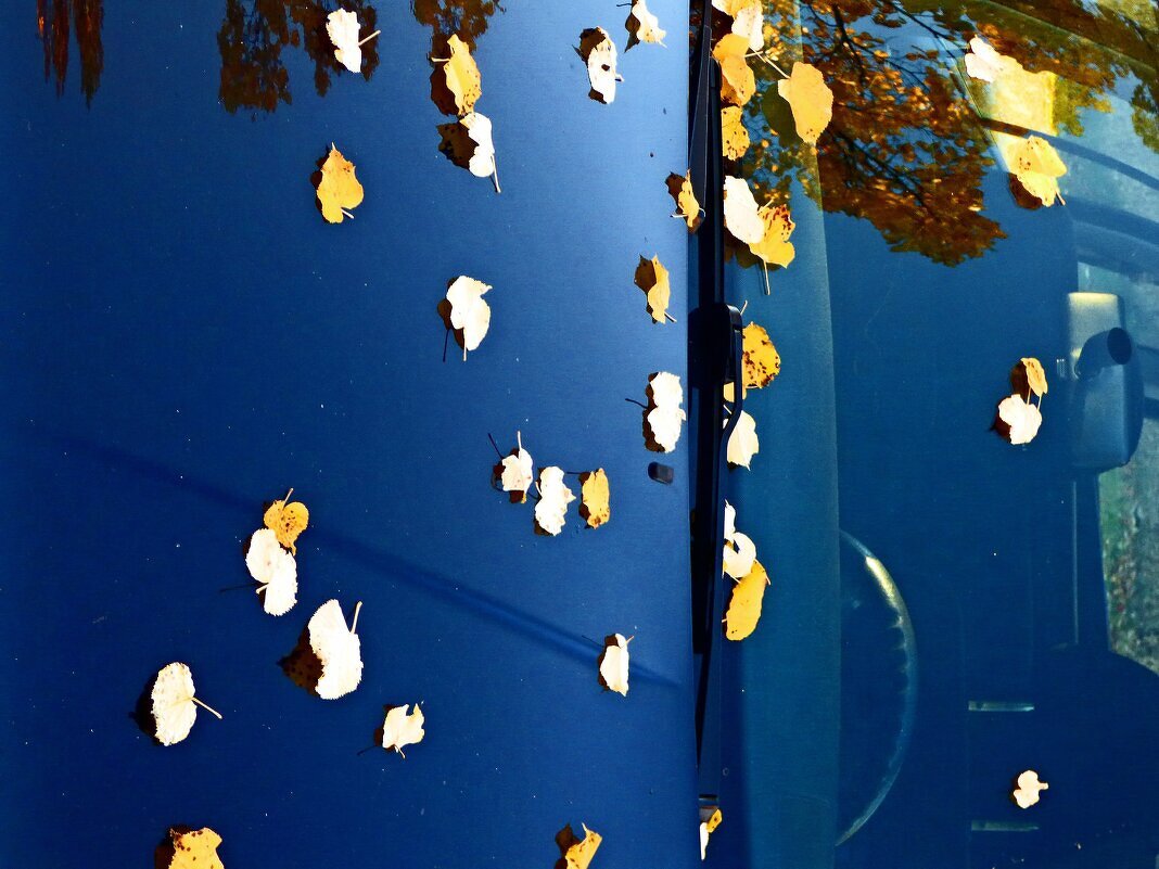 Осень 2 - Алексей Кузнецов