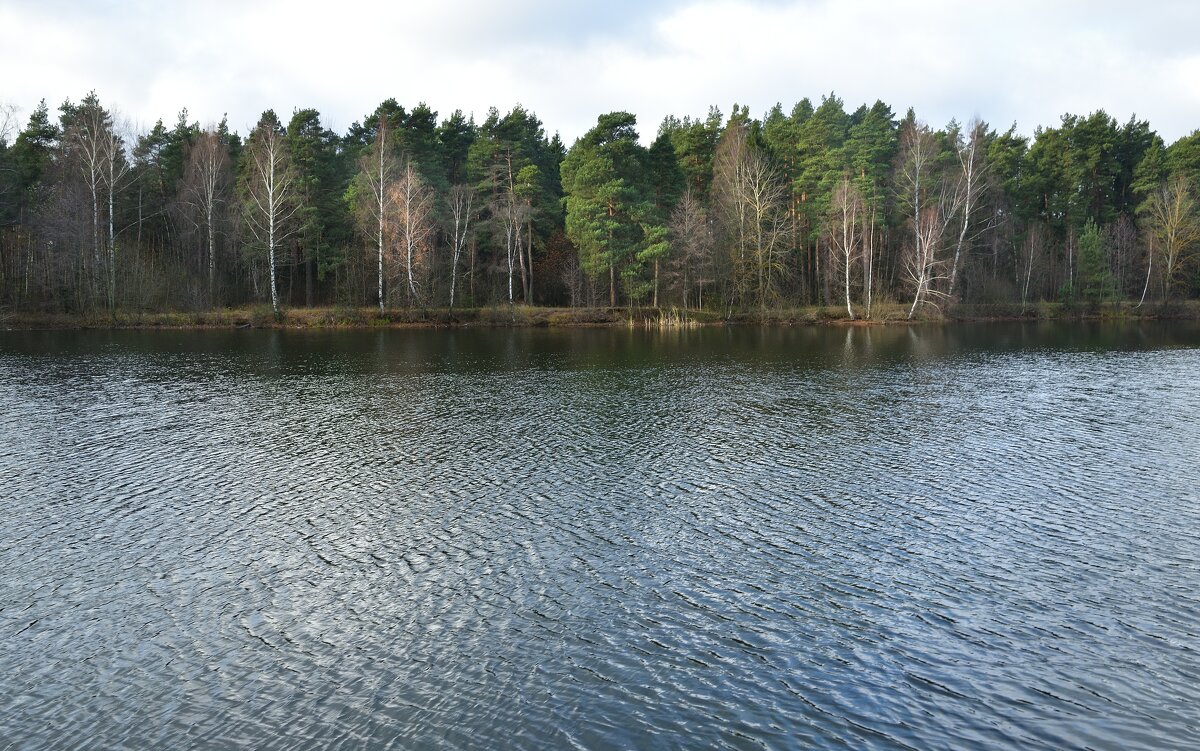 На том берегу - Иван Генералов