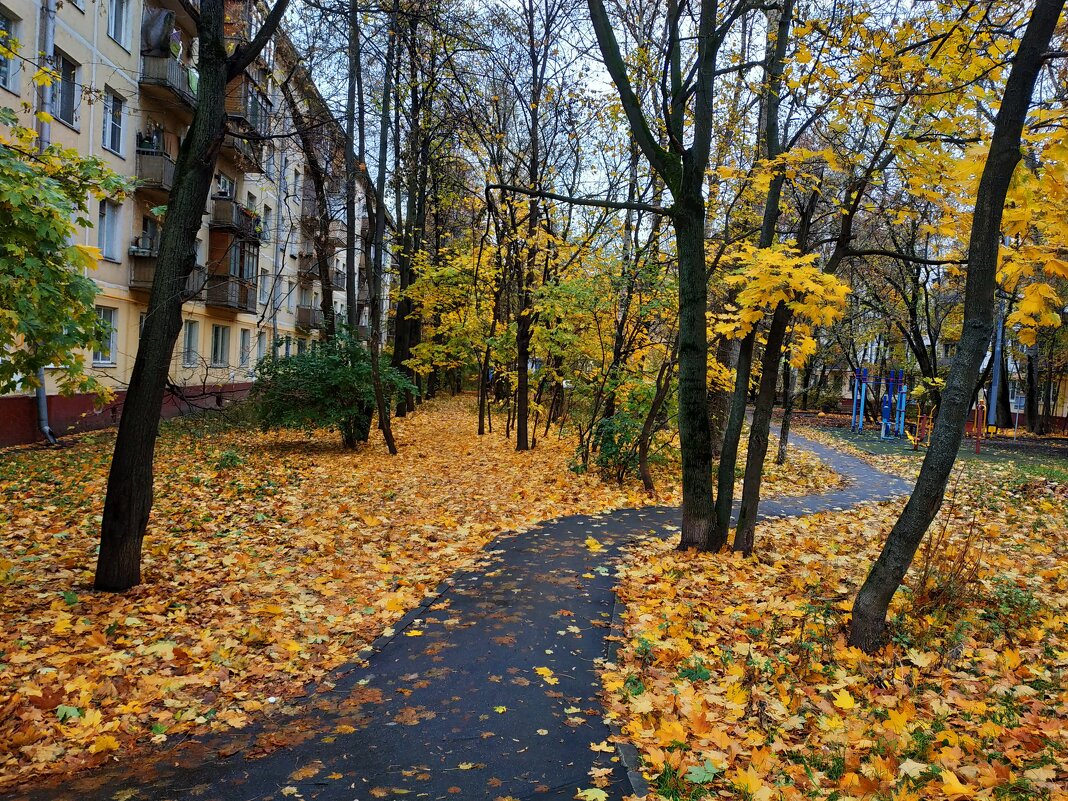 Осень в городе - Андрей Лукьянов