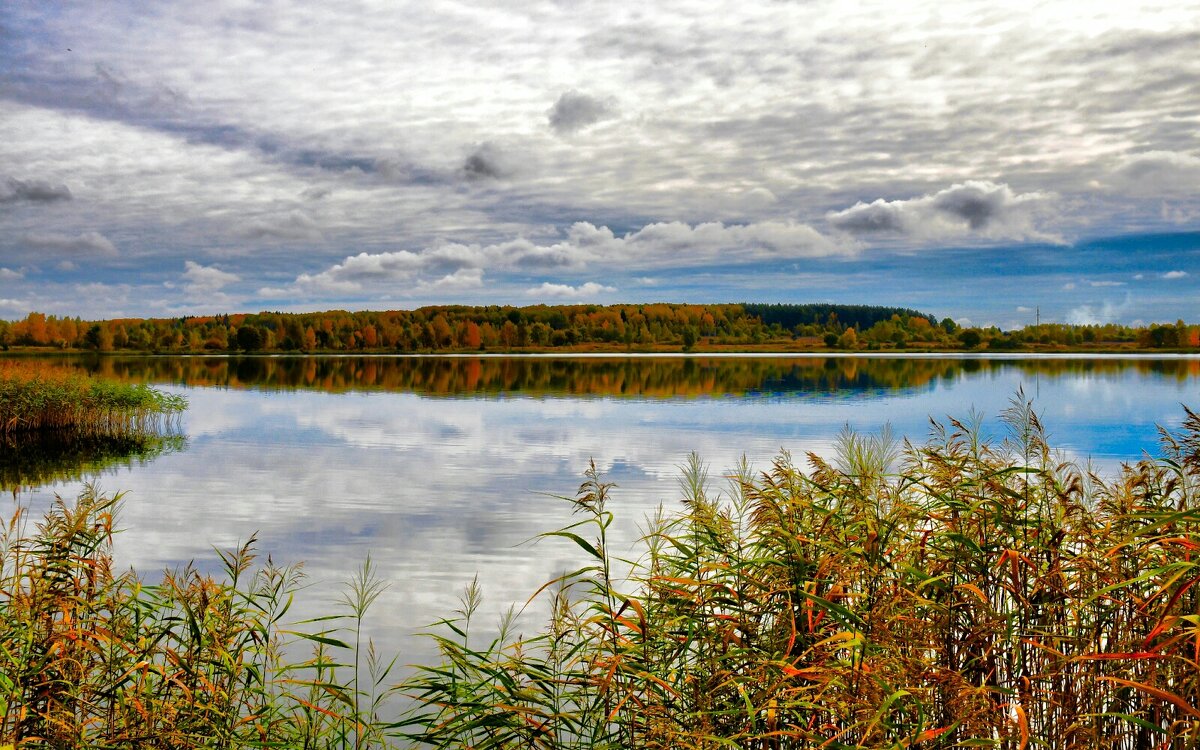 Октябрь на Смоленщине (репортаж из поездок по области). - Милешкин Владимир Алексеевич 